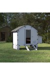Poulaillier PVC Harmony Chicka 4