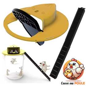 Piège à souris pour Poulailler
