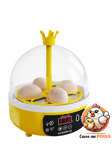 Couveuse Automatique 4 Oeufs