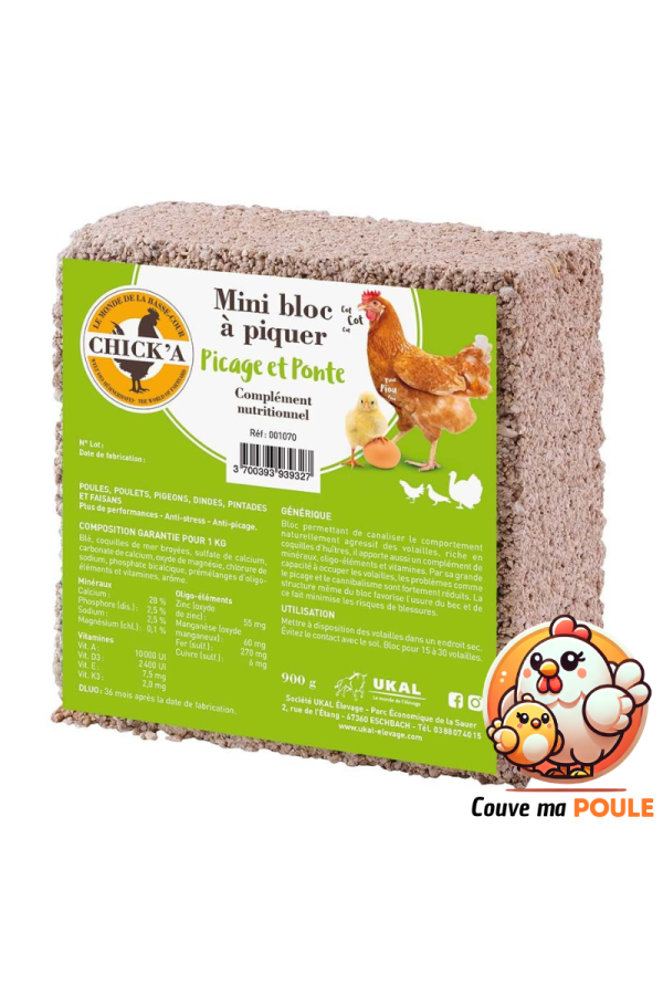 Bloc à Piquer - 900 Grammes