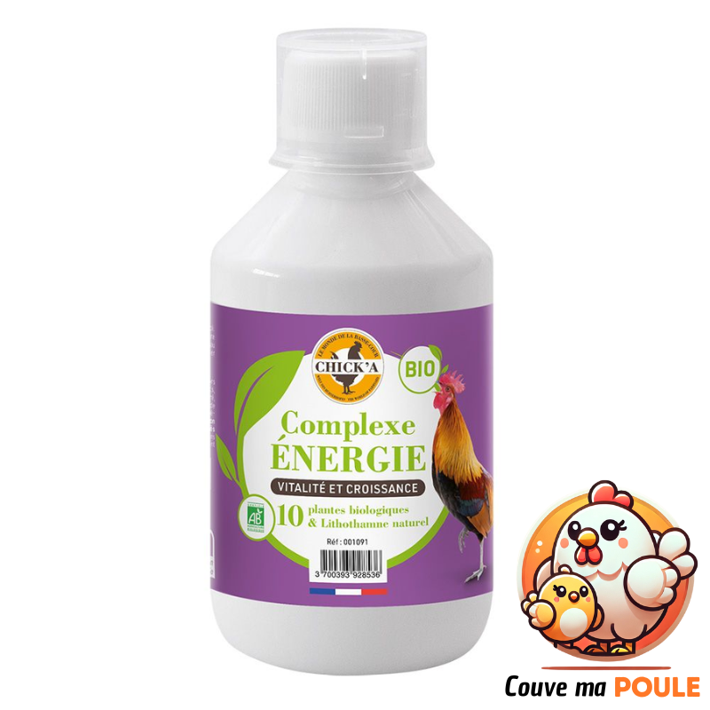 Complexe Energie Bio - 250 ml