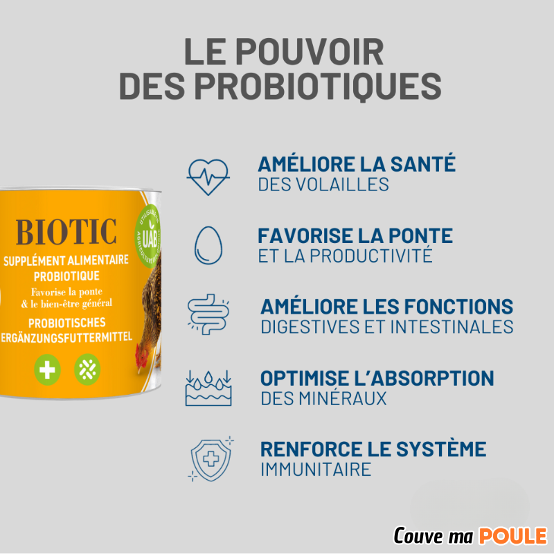 Biotic - Base de Probiotiques - 360 G