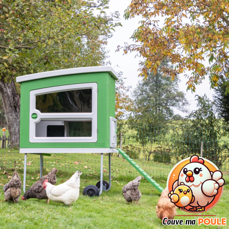 Poulailler Mobile Coop - 4 à 6 Poules