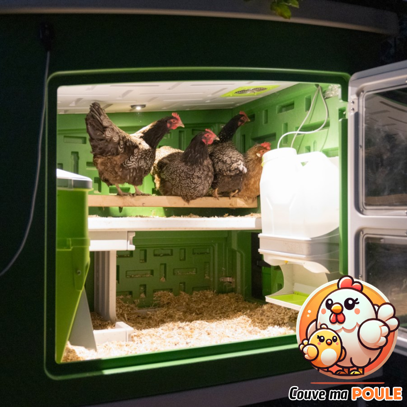 Poulailler Mobile Coop - 4 à 6 Poules
