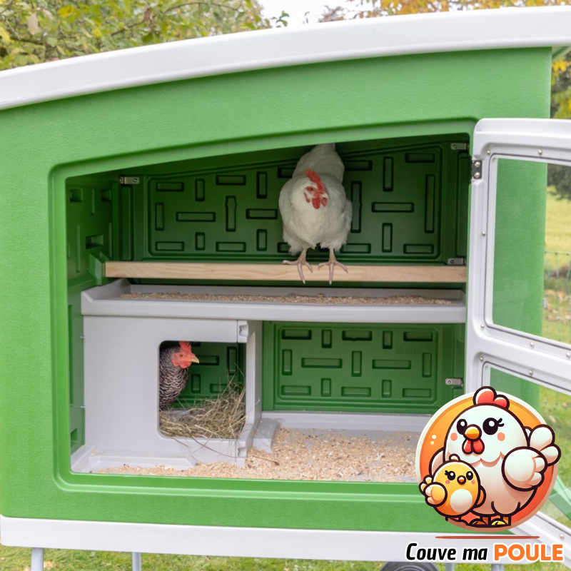 Poulailler Mobile Coop - 4 à 6 Poules