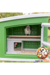 Poulailler Mobile Coop - 4 à 6 Poules