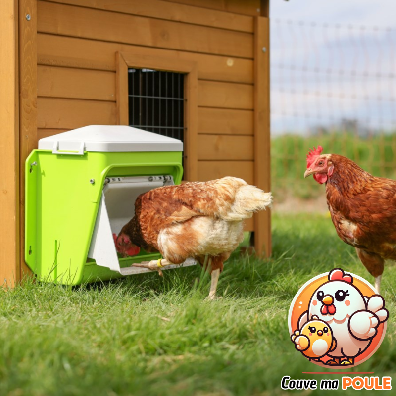 Smart Coop - Mangeoire Automatique