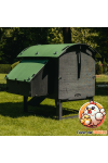 Poulailler Nestera - Lodge Medium