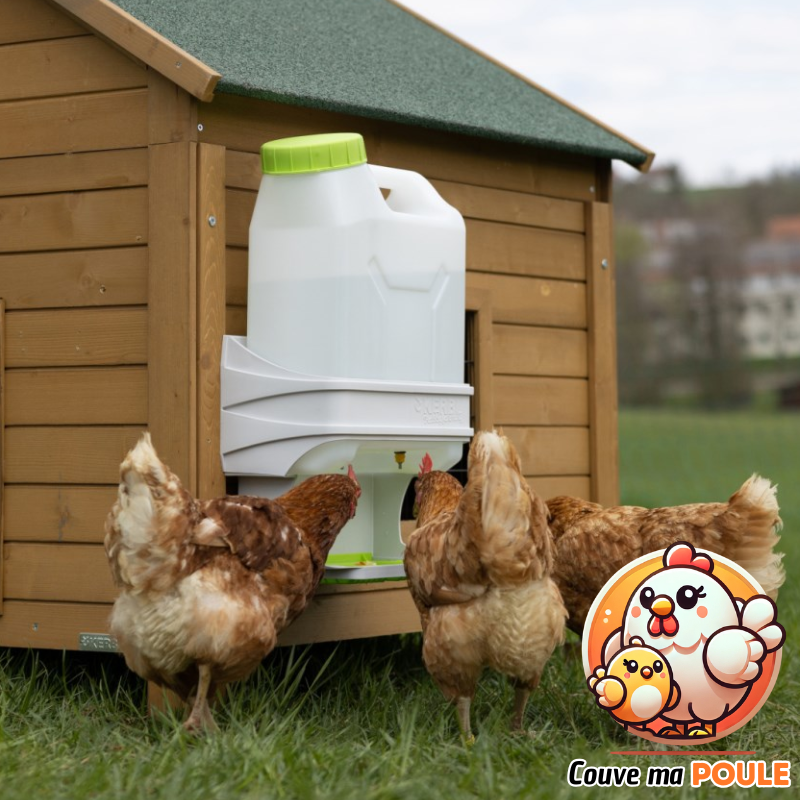 Smart Coop - Abreuvoir automatique