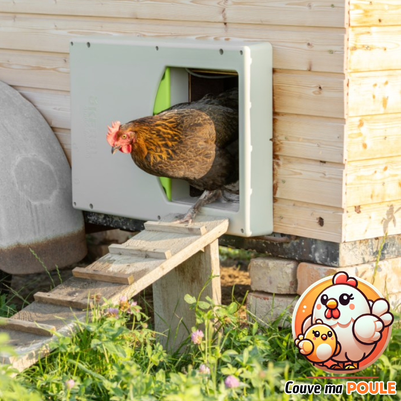 Smart Coop - Porte Automatique